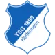 Logo TSG Hoffenheim