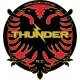 Logo Dandenong Thunder